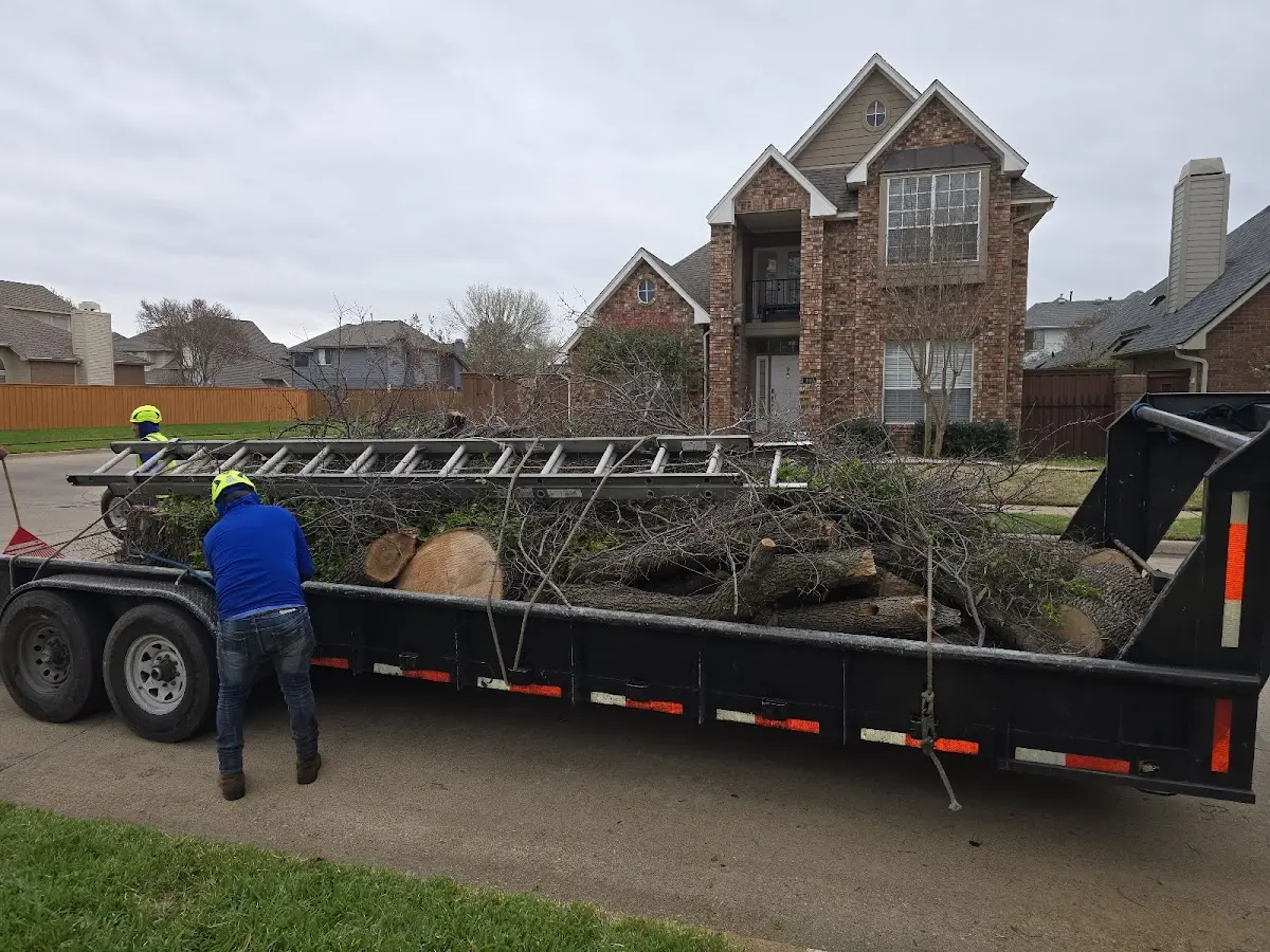 Expert Lot Clearing with proper safety equipment in Bristol